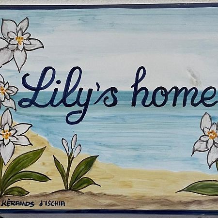 Lily'S Home 라코아메노 외부 사진