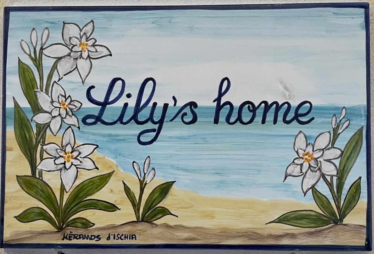 Lily'S Home 라코아메노 외부 사진
